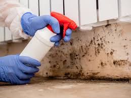 Best Airborne Mold Testing  in USA